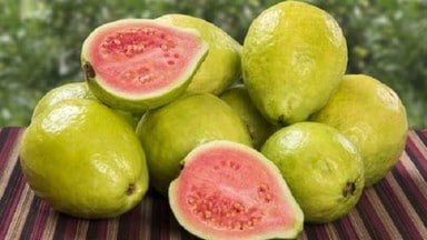 health benefits of Guava - कई खतरनाक बीमारियों में बेहद लाभकारी है अमरूद, पढ़ें घरेलू नुस्खे 1