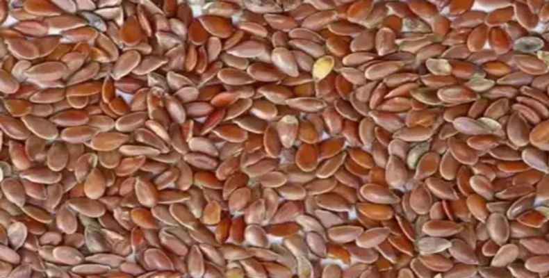 दिमाग को बनाना है कंप्यूटर से भी तेज तो खाया करें ये सस्ती चीज - Apani Rasoi | DailyHunt