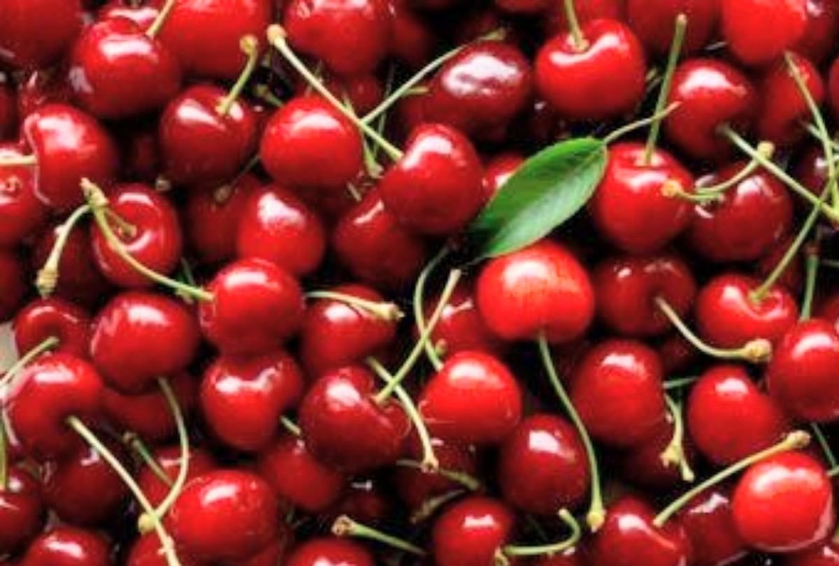 मंडियों में पहुंची चेरी की खेप, 150 रुपये किलो ही मिले दाम - Cherry Fruit Supply Reached In Mandis In Shimla - Amar Ujala Hindi News Live
