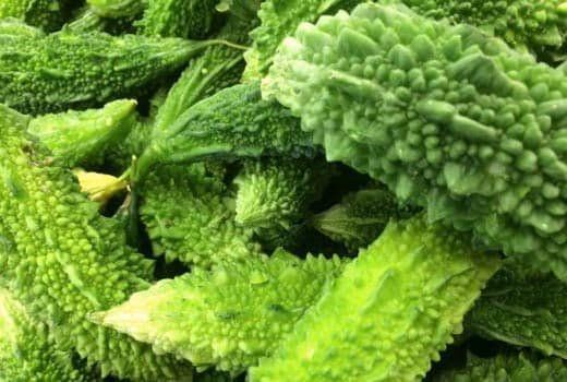 ये हैं कड़वे करेले के मीठे फायदे - Benefits of karela good for diabetic patients in hindi